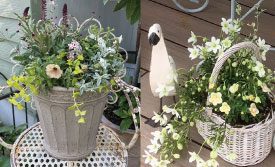 人気ガーデナー伊藤きみえさんの寄せ植え教室[2026春夏開催]