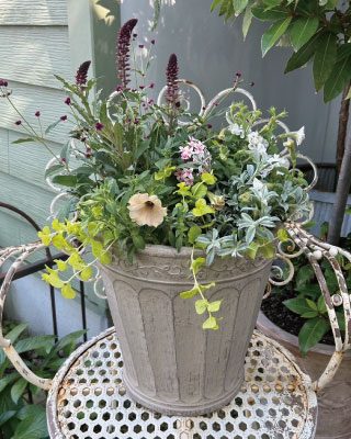 人気ガーデナー伊藤きみえさんの寄せ植え教室[2026春夏開催]